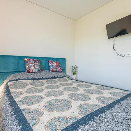 1pilkos Lankos Palanga