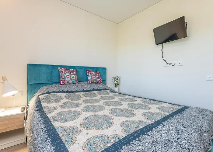 1pilkos Lankos Palanga